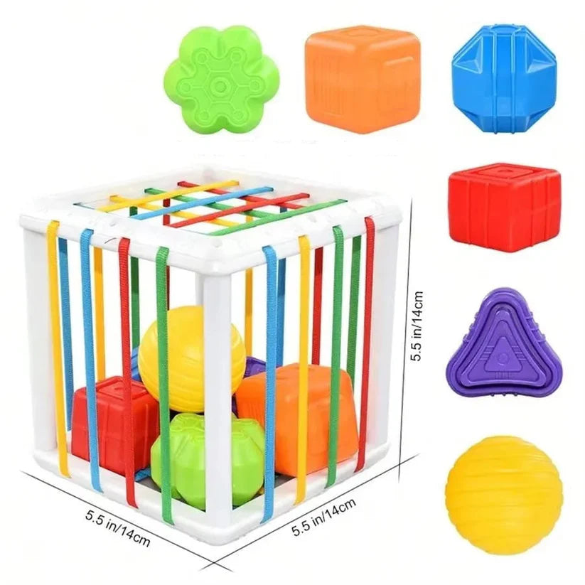 Montessori Shape Sorting Box