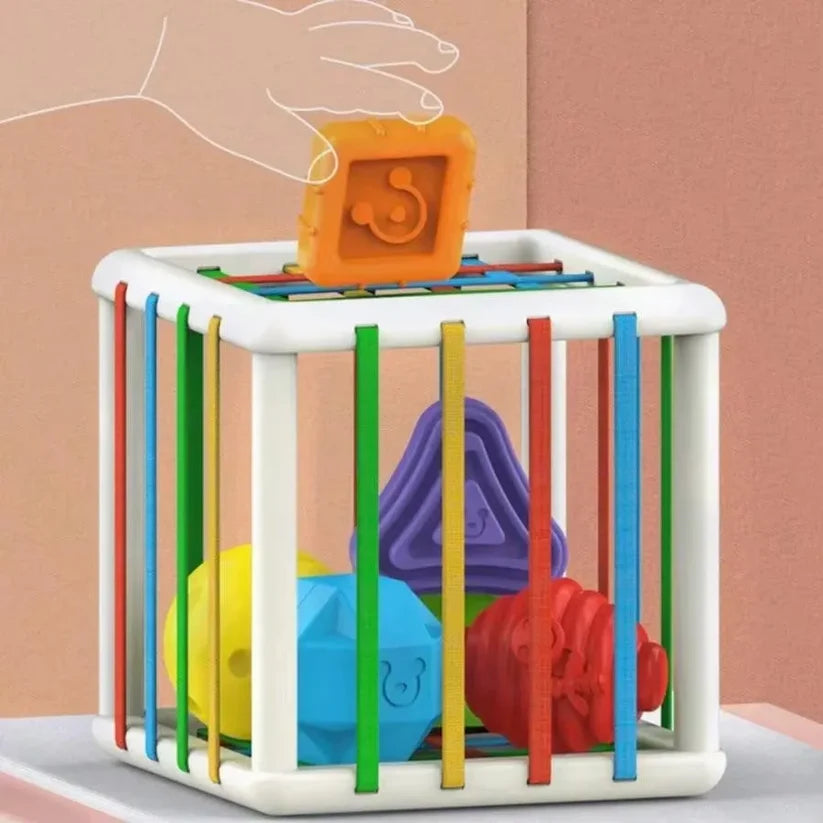 Montessori Shape Sorting Box