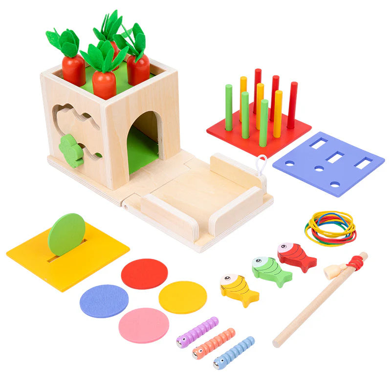 6-in-1 Montessori Wooden Learning Cube
