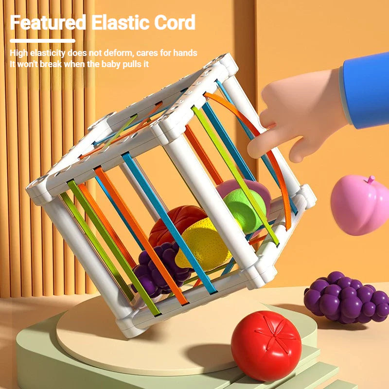 Montessori Shape Sorting Box